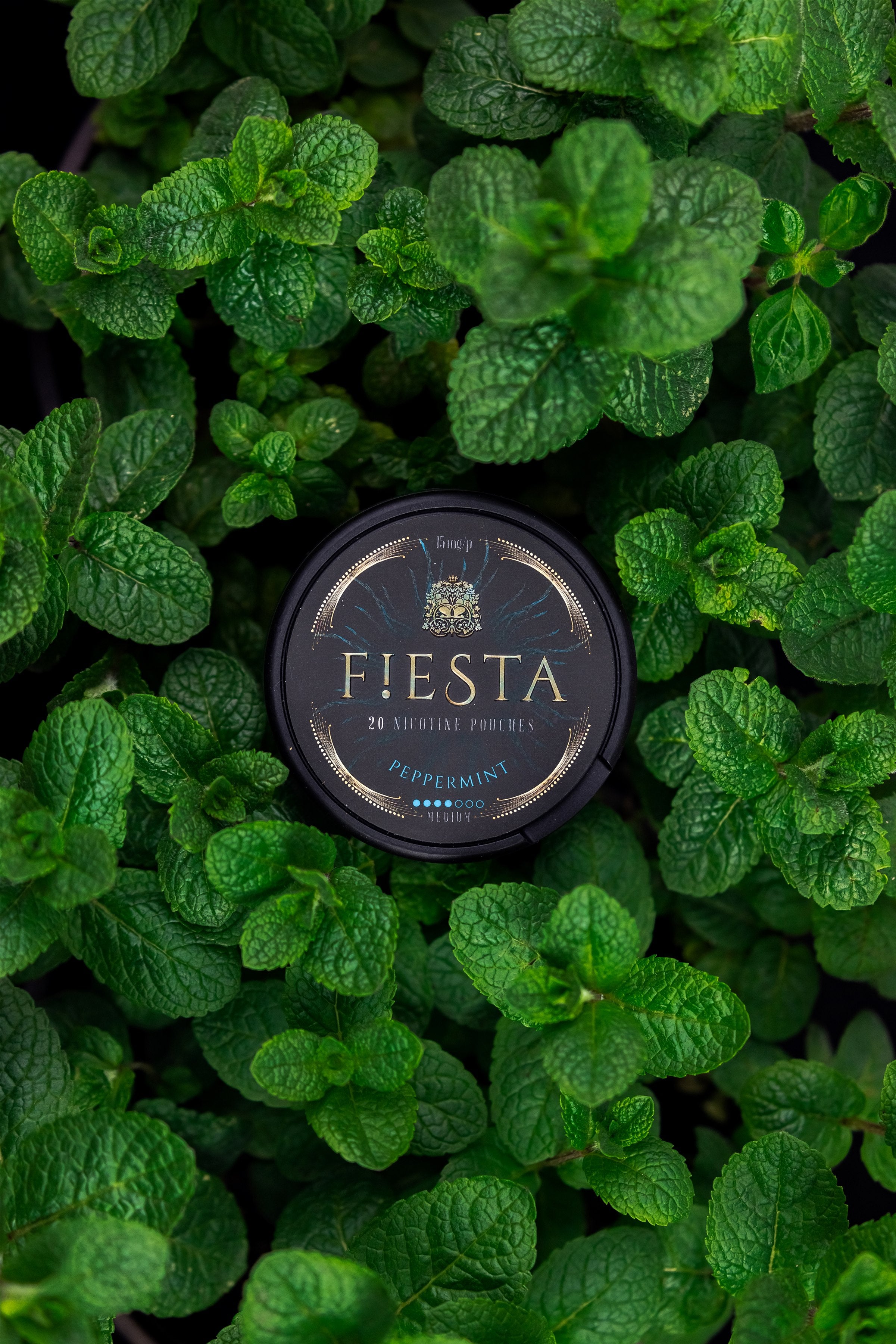 F!ESTA Peppermint among mint leaves